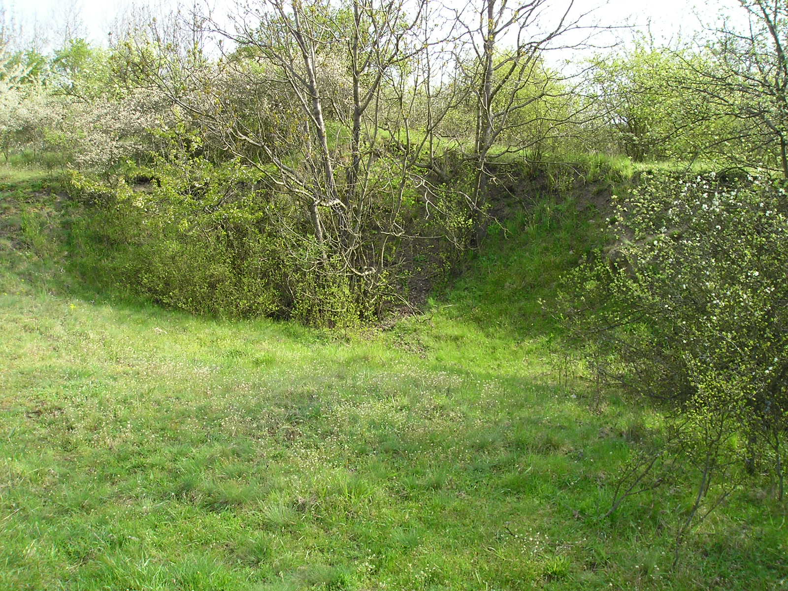 P4212594.JPG