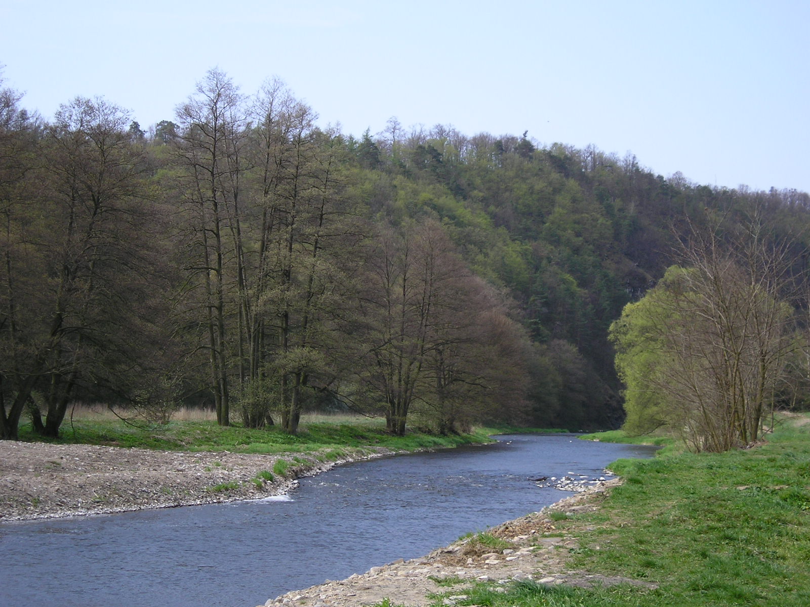 P4212603.JPG