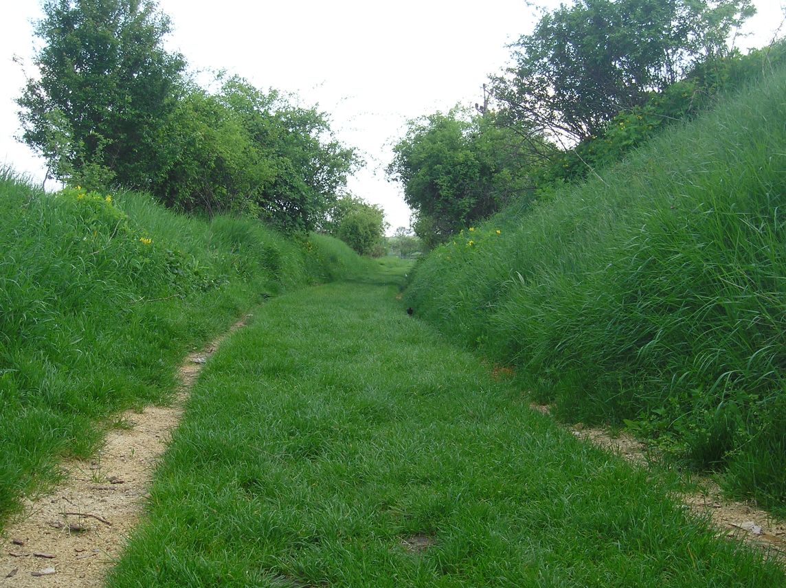 P5095872.JPG