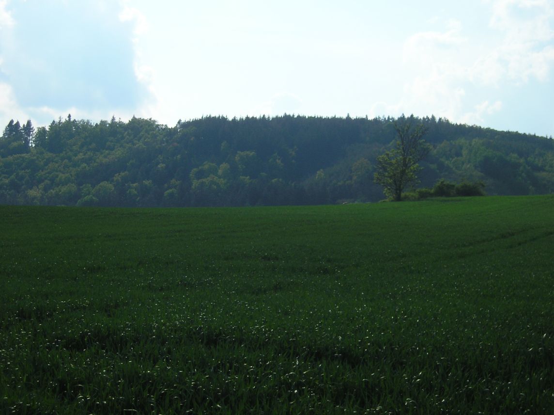 P5095890.JPG